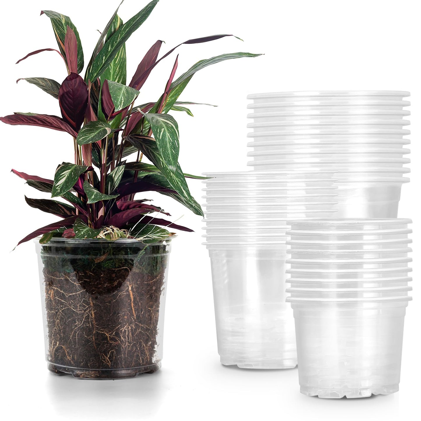 RAOOKIF 30 Pack 5/6/7 Inch Reinforced Clear Nursery Pots with Drainage Holes, Nursery Pots for Plants Variety Pack, Transparent Plastic Plant Pots for Seedlings, Seed Starters