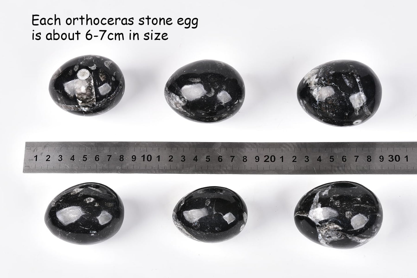 AMOYSTONE Orthoceras Stone Egg Black with Natural Stone Base for Healing Reiki Home Decors Medium, Single Height 2.5-3"