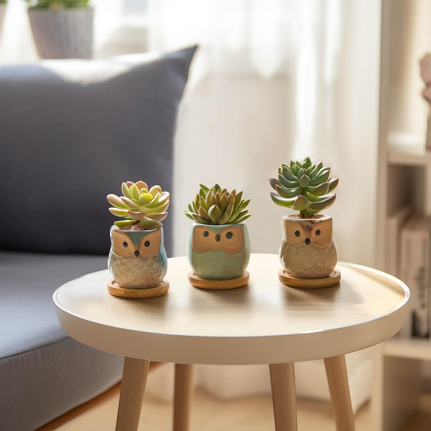 T4U 2.5 Inch Owl Ceramic Succulent Planter Pots with Bamboo Tray Set of 6, Flowing Glaze Porcelain Handicraft Plant Holder Container Gift for Mom Sister Aunt Best for Home Office Garden Decoration