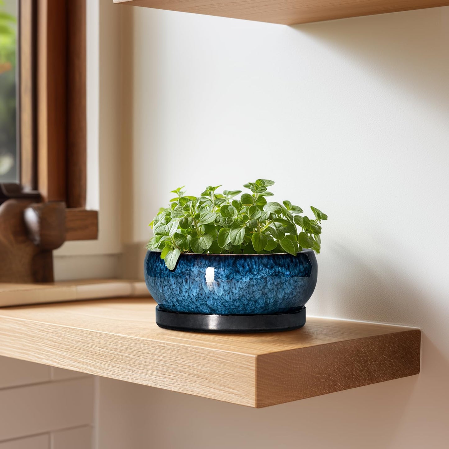 EPFamily Succulent Pots - 6 Inch Ceramic Bonsai Pots with Drainage Hole and Saucer, Shallow Planter for Indoor Outdoor, Round Succulent Planter, Cactus Pot, Office Decor, Gifts for Plant Lovers, Blue