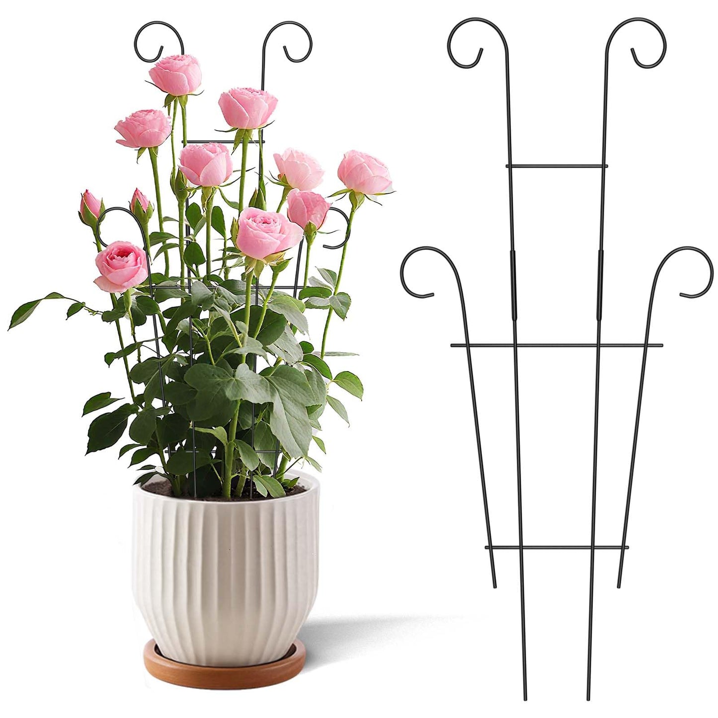 2 Pack 23.6'' Taller Plant Trellis for Climbing Plants Indoors & Outdoor, Garden Metal Trellis Plant Support for Potted Plants, Houseplants, Flowers Vine, Ivy, Pothos, Monstera