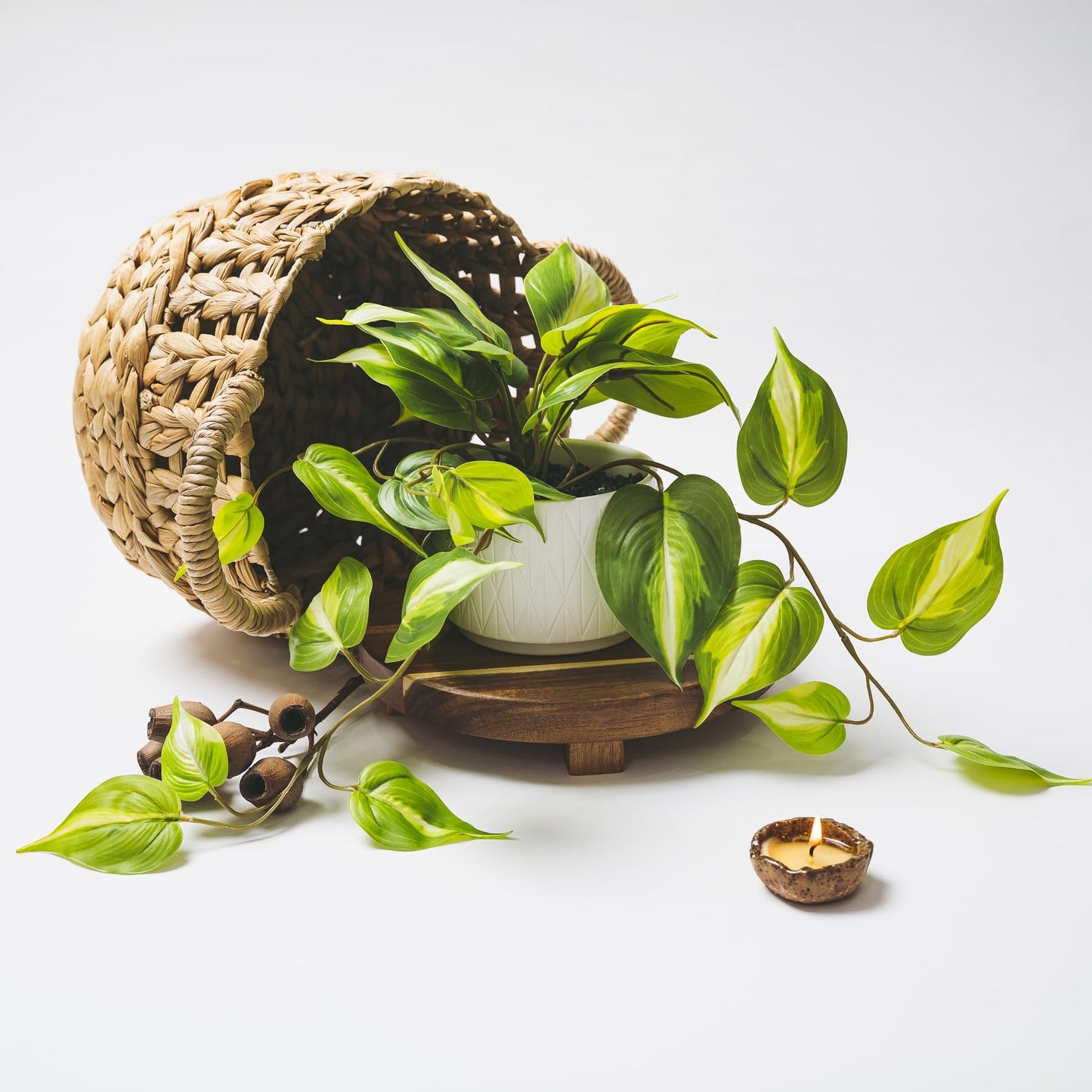Kurrajong Farmhouse Light Green Fake pothos Plant | Fake Plant for Shelf Decor | Artificial Trailing Ivy Plant with 5" Wide Ceramic Pot | Faux pothos | Feaux Pothos