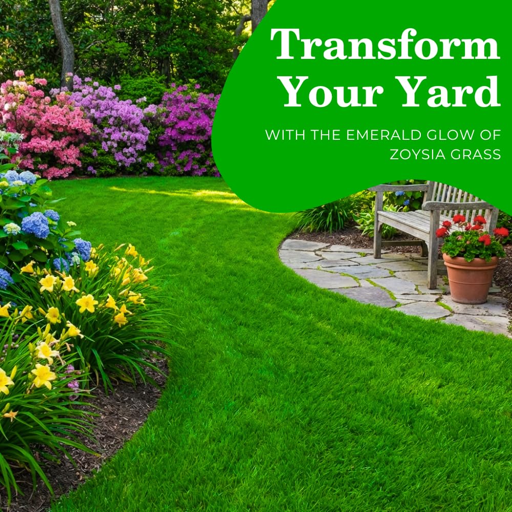 Set 20000 Zoysia Grass Seeds, Zoysia Grass Seed for Lawn, Soft Fine Ground Cover for Landscape, Yard and Walkway