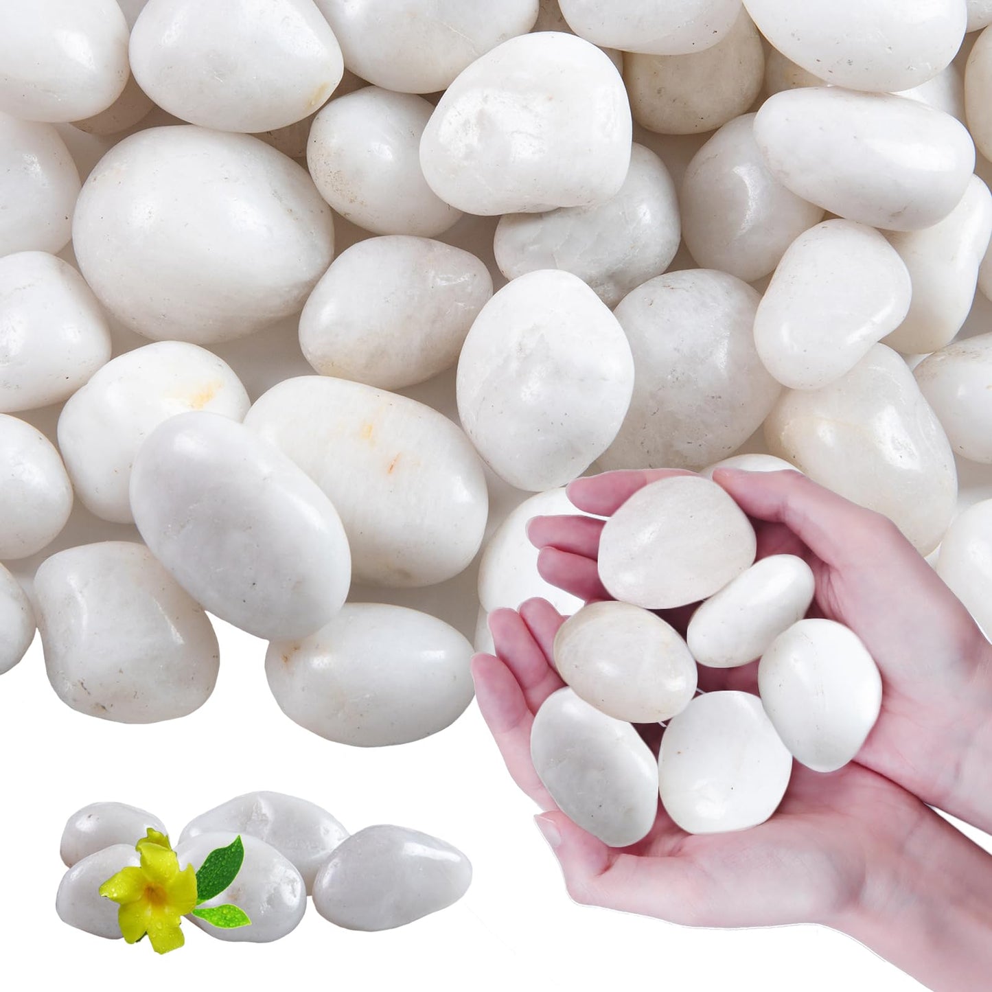 Lechloris 10Ib White River Rocks for Landscaping- High Polished White Pebbles for Plants-Garden Decorative Stones-1-2 Large Plant Rocks,Ideal for Aquarium, Home Decor