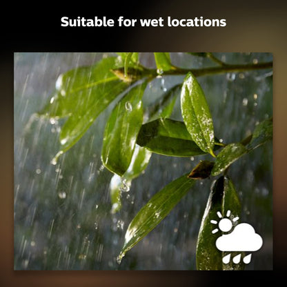 Philips Hue Outdoor Motion Sensor - Automatic Dusk to Dawn - Turns Lights On When Motion is Detected - 1 Pack - Requires Bridge - Works with Alexa, Google Assistant, and Apple Homekit - Weatherproof