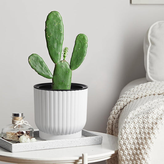 T4U Plastic Self Watering Planter, Long Term Water Storage Plant Pot/Macaron-Colored Flower Pots Outdoor Indoor Yard Garden Home Decoration, Small Size - Set of 6,White