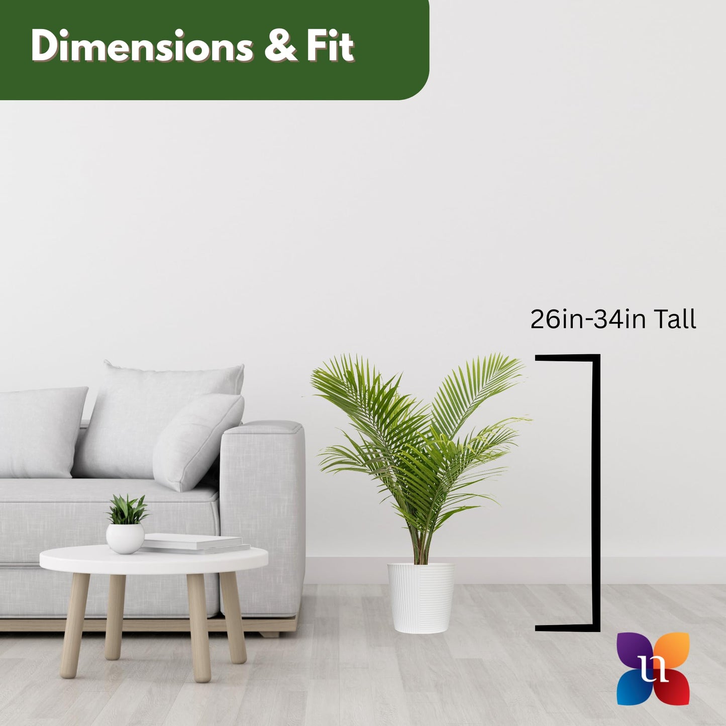 Majesty Palm Live Plant by United Nursery, Large Indoor House Plant, 32-36 inches Tall Tropical Palm Tree in Decorative Pot, Easy Care Large Floor Plant for Home Decor