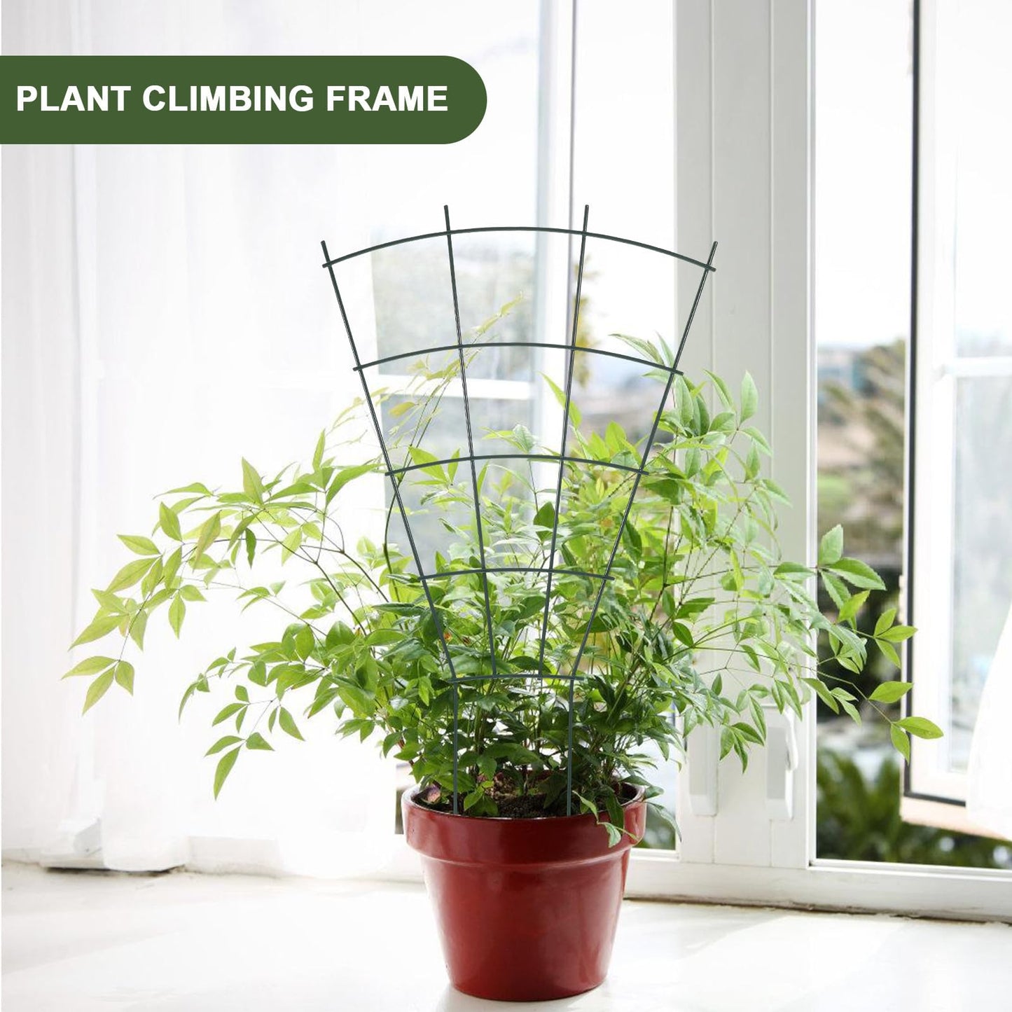 NUOBESTY Metal Plant Trellis Vine Climbing Support Rack for Garden and Indoor Potted Plants with Sturdy Outdoor Metal Frame