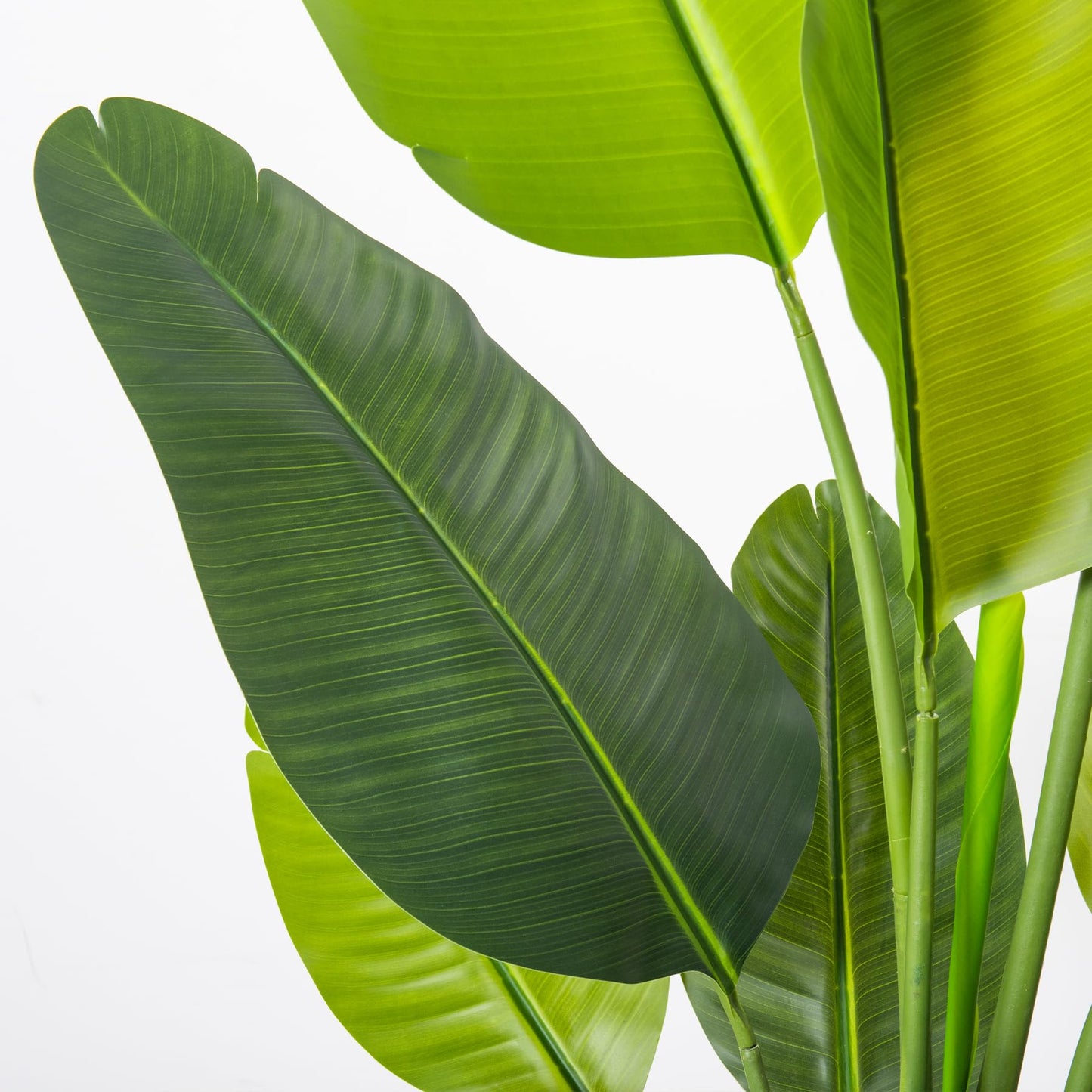 HAIHONG Bird of Paradise Artificial Plant 5FT, Faux Tropical Palm Tree with White Tall Planter, Large Fake Plants in Pot - Artificial Tree for Home Office Living Room Decor Indoor