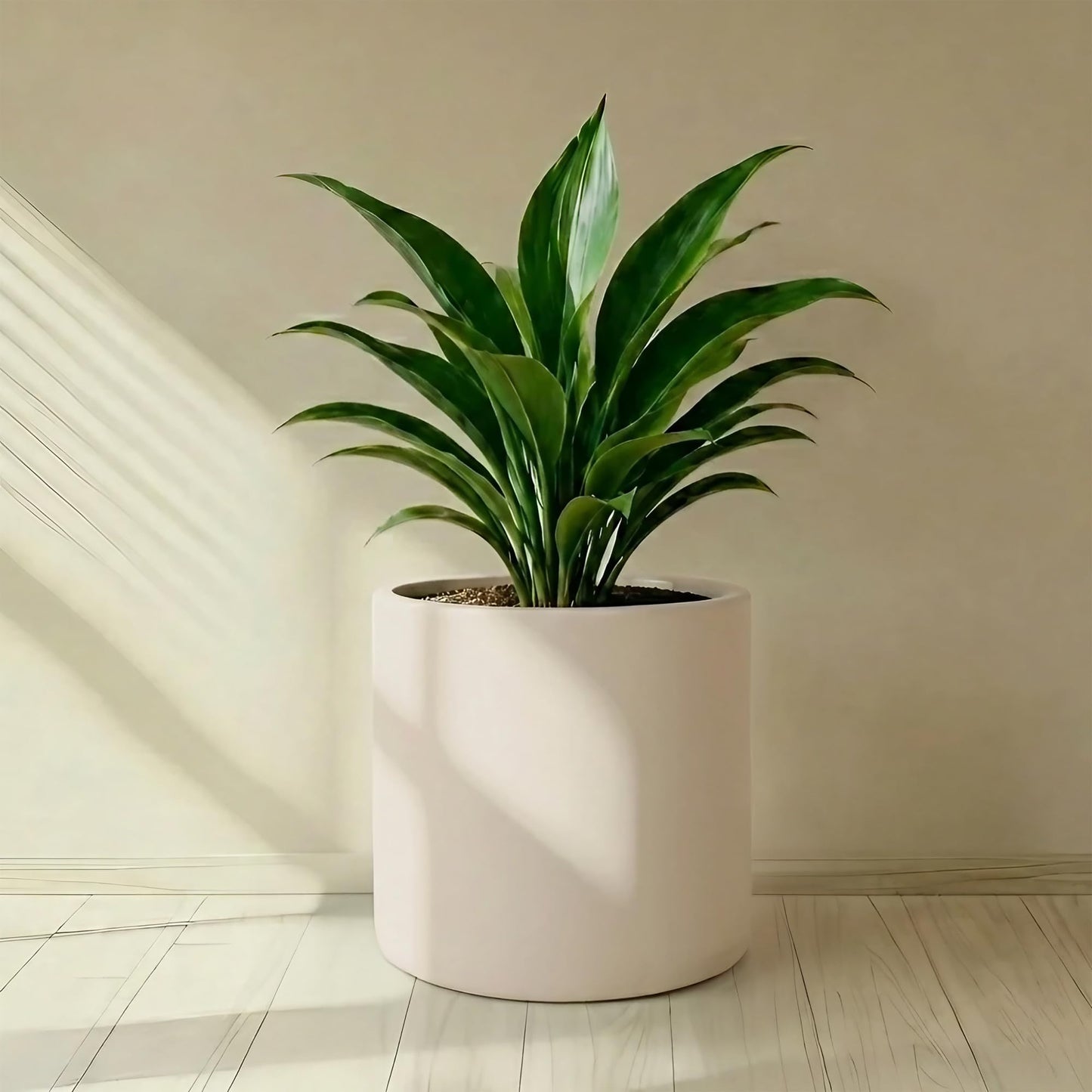 DEPLA LANE Lumero Fiberstone Cylinder Planter (14.0" Pot Opening x 15.7" D x 15.7" H) Smooth Finishes, Lightweight, Durable, UV Resistant, Minimalist Decor, Indoor Outdoor Plant Pot (XL, Cream White)