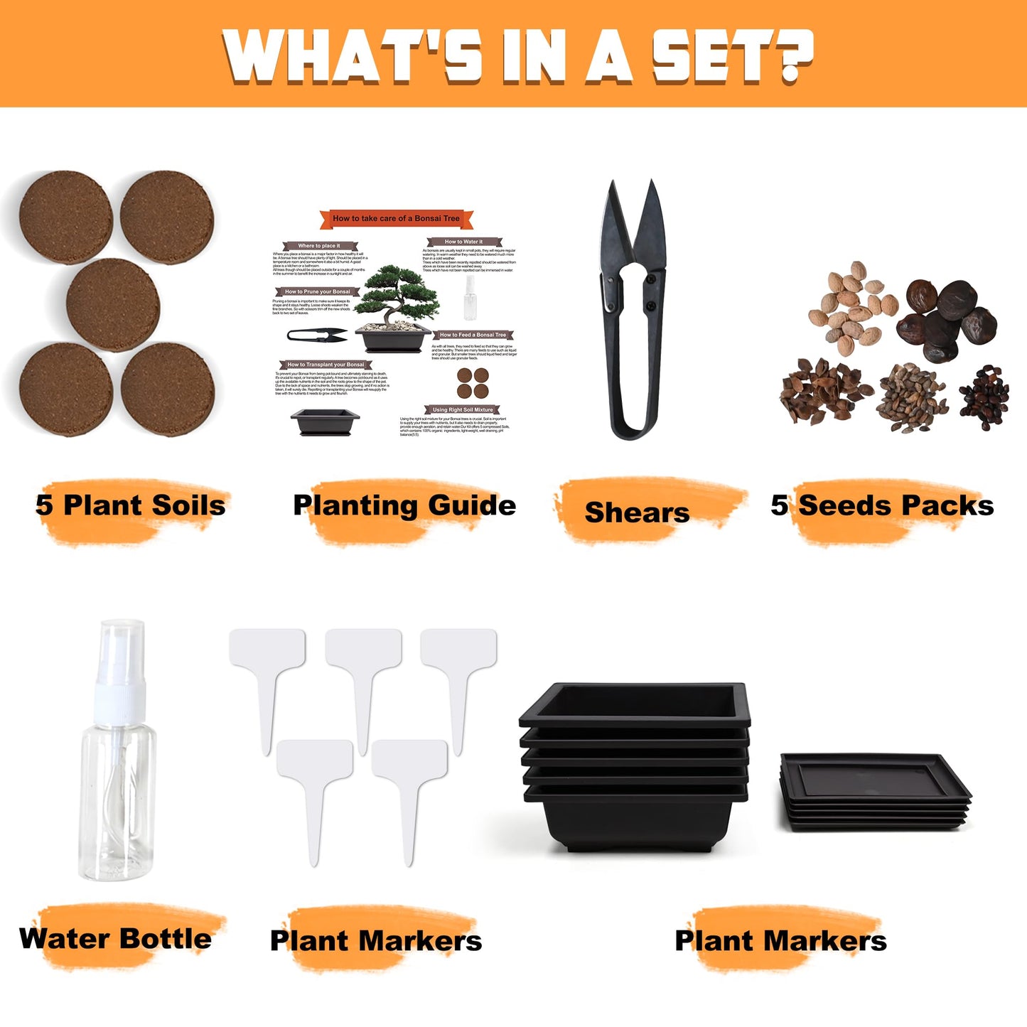 Sproutix Bonsai Starter Kit, Growing into Blue Spruce, Boxwood, Dawn Redwood, Flame Tree and Judas Tree, Including Complete Gardening Tools in A Gift Box