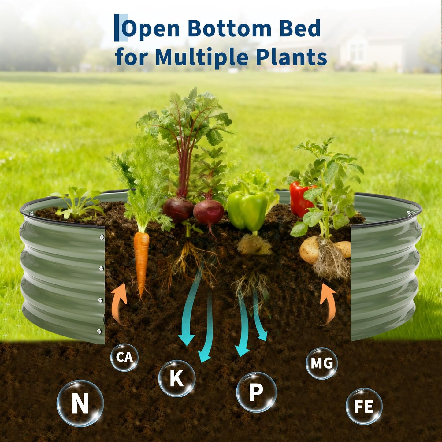 COZONY 6X3x2Ft (1 Pack) Galvanized Raised Garden Bed-Open Base Metal Planter Box for Outdoor Vegetables, Flowers & Herbs, Steel Garden Raised Bed Kits