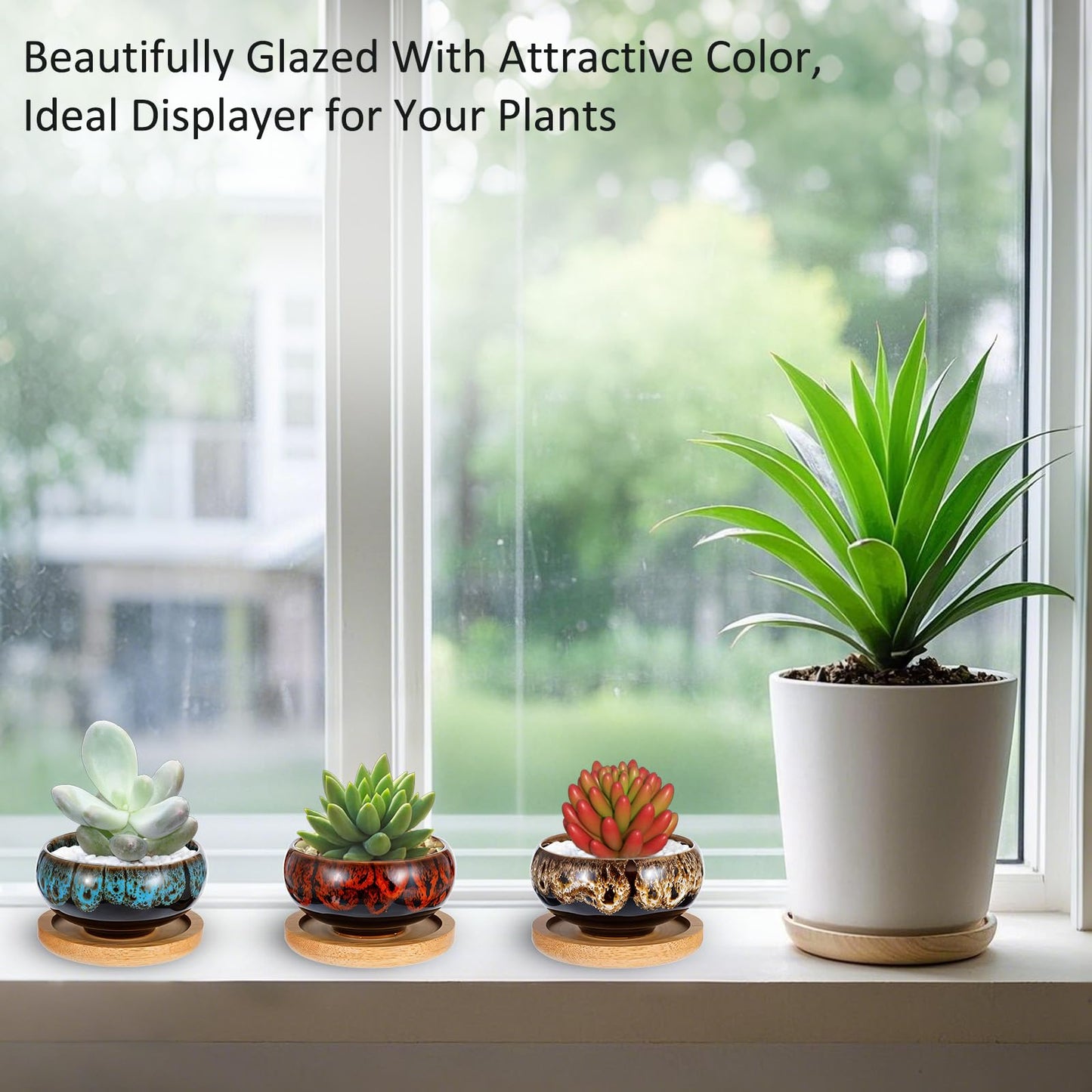 mekueeex 12 Pcs Ceramic Succulent Garden Pots Succulent Small Plant Cactus Planter Ceramic Pot with Drainage Hole and Bamboo Tray Matte Round Container (2.5 Inch)