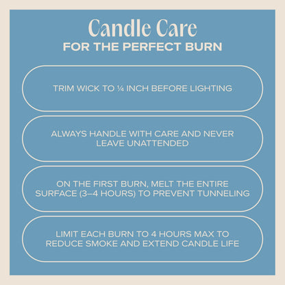 Companion Candles Cuddle Me Cozy Pet-Friendly Scented Candle – Linen, Cotton & Musk Fragrance - Coconut Soy Wax Candle with Wooden Wick, Approx. 50-Hour Burn Time, Made in USA, 11.8 oz