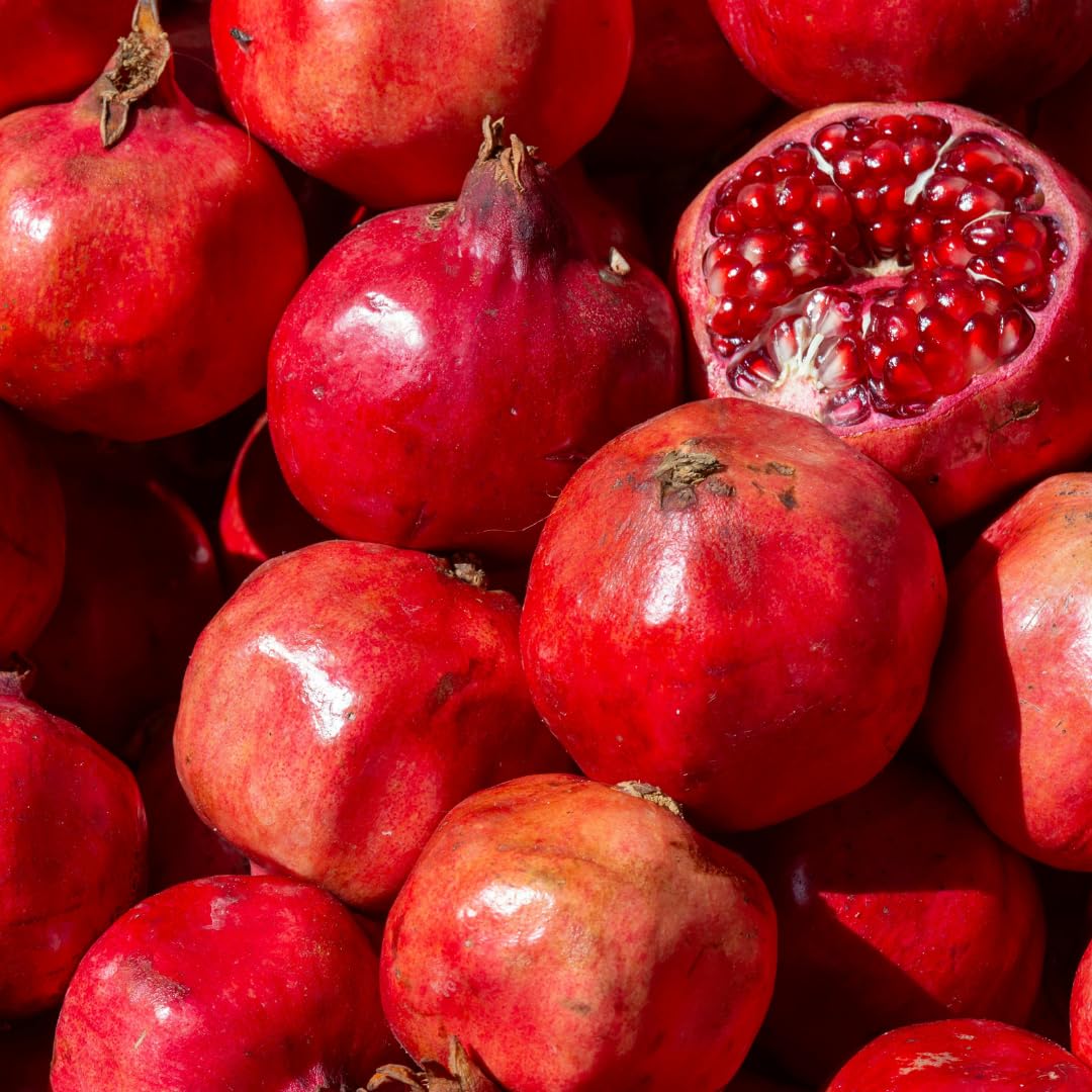 Live Pomegranate Plant, Sweet Pomegranate Tree, Fruit Plant, 4-7 Inches Tall for Indoor Growing