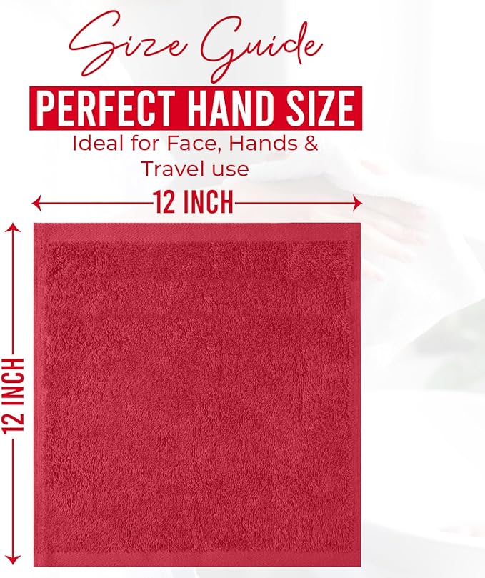 DAN RIVER 24 Pack Wash Cloths for Showering