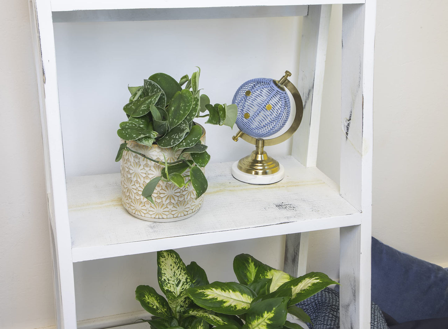 Altman Plants, Live Pothos Plants (4PK) Indoor Plants Live Houseplants, Pothos Live Plant House Plants Indoors Live Plants, Money Plant Indoor Pothos Plant Decor, Devils Ivy Trailing Plants Live