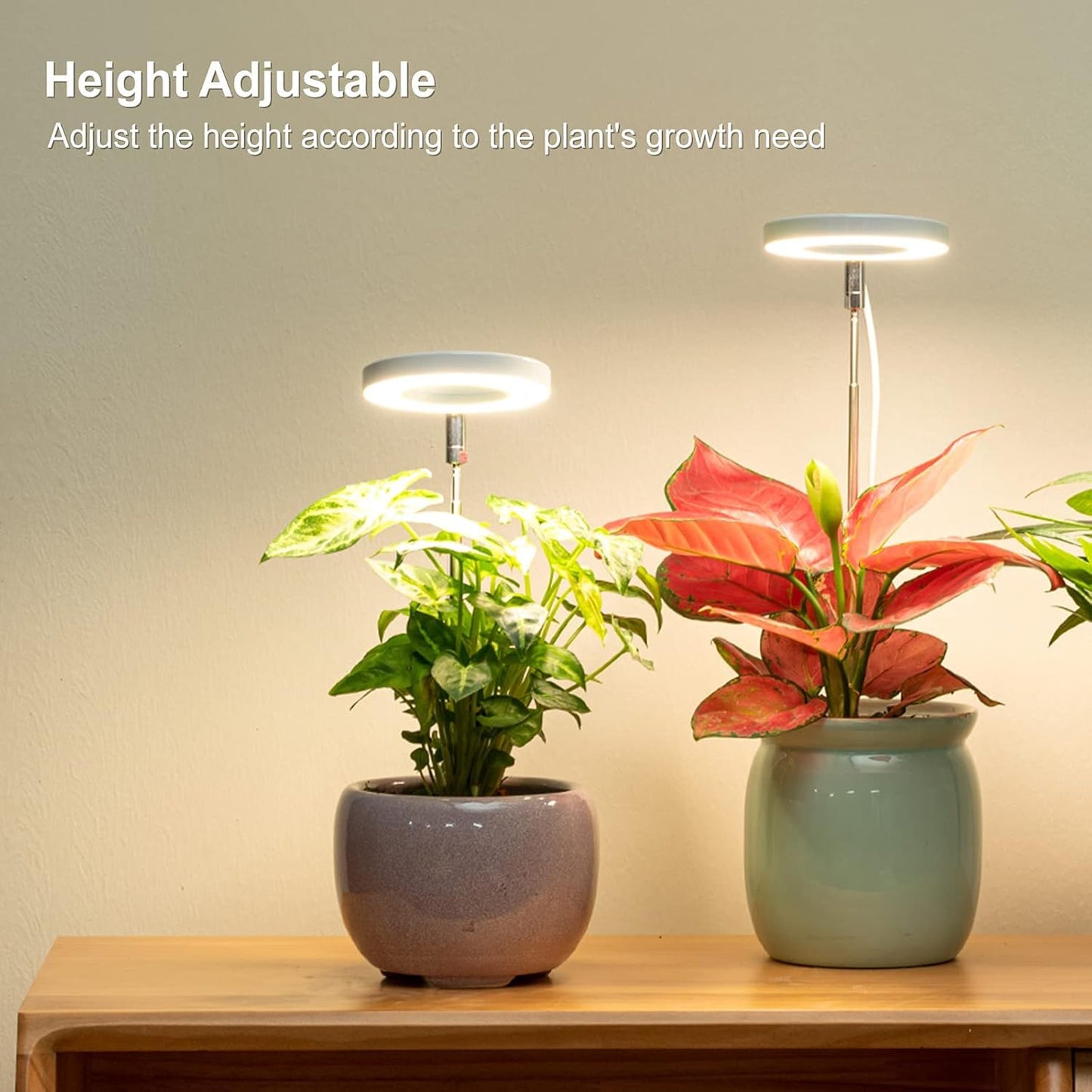 LORDEM Grow Light, Full Spectrum LED Plant Light for Indoor Plants, Height Adjustable Growing Lamp with Auto On/Off Timer 4/8/12H, 4 Dimmable Brightness, Ideal for Small Plants, 2 Packs