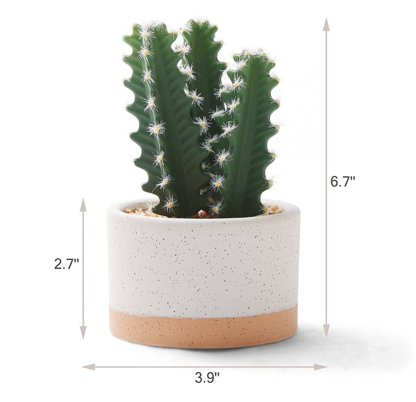 ASTRIDIA Artificial Succulent Plants in Ceramic Pots, Faux Assorted Succulents Fake Cactus Plants for Home Decor, Bedroom, Office, Desk, Living Room, Set of 3…