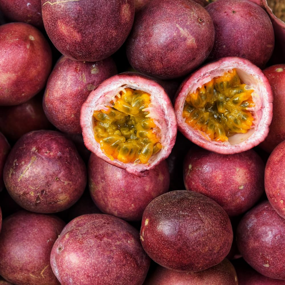 Passion Fruit Plant Live 4-7 Inch, Passionfruit Vine for Outdoor Garden, Tropical Climbing Vine for Trellis, Fence or Backyard Growing (Purple Passionfruit)