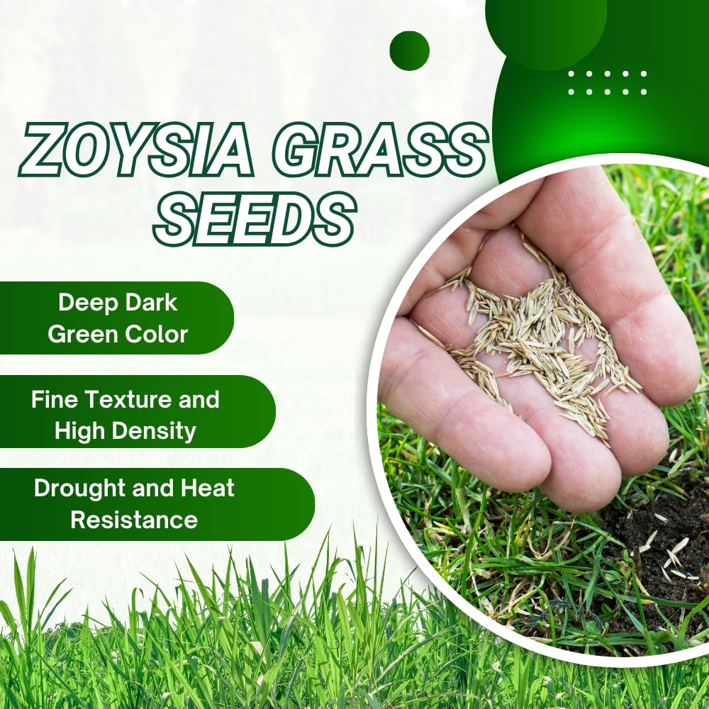 20000 Emerald Zoysia Grass Seed, Zoysia Grass Seeds Lawngrass for Outdoor Planting, Shade and Drought Tolerant Seeds