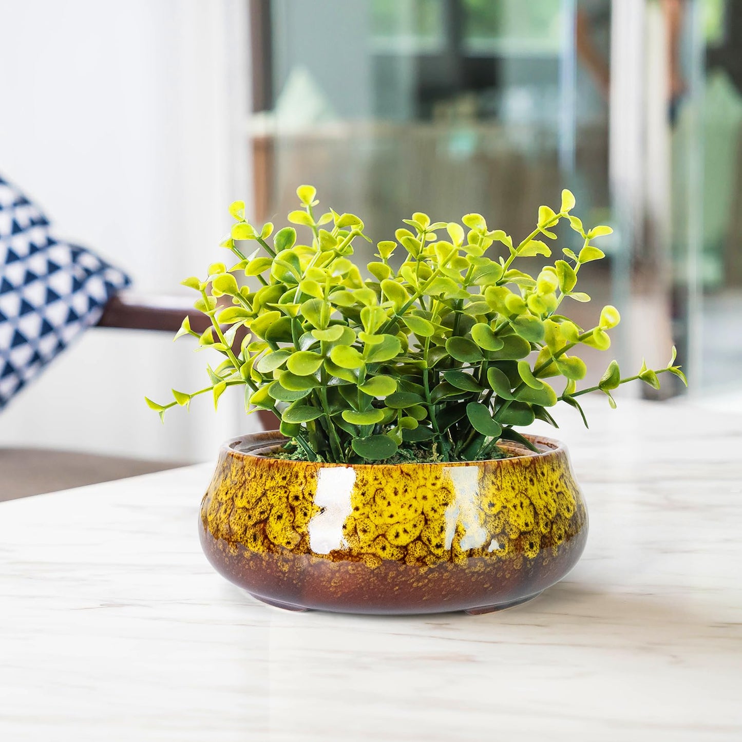 ARTKETTY Succulent Pots - 8 Inch Plant Pot, Large Bonsai Pots with Drainage, Ceramic Planters for Indoor Outdoor Plants, Round Shallow Cactus Flower Plant Container Bowl Decorative Home Garden