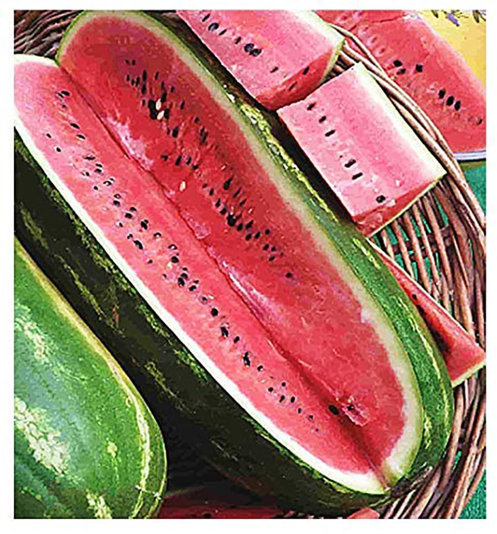 Jubilee Heirloom Watermelon Seeds