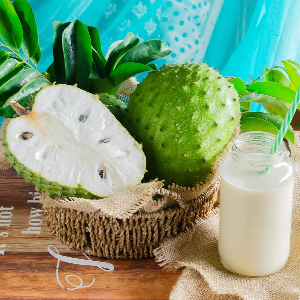 Soursop Tree Live Plant for Planting, Sweet Soursop Plant Live 5-9 Inch Tall, No Pot, Annona Muricata Giant Soursop Fruit Tree Plant