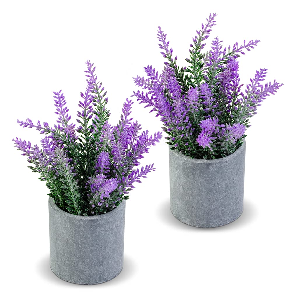 CADNLY Artificial Lavender Plant in Pots - Faux Lavender Flowers Decor – Fake Flowers Purple Decor Plant Potted Bathroom Bedroom Kitchen Farmhouse Home 2 Pack