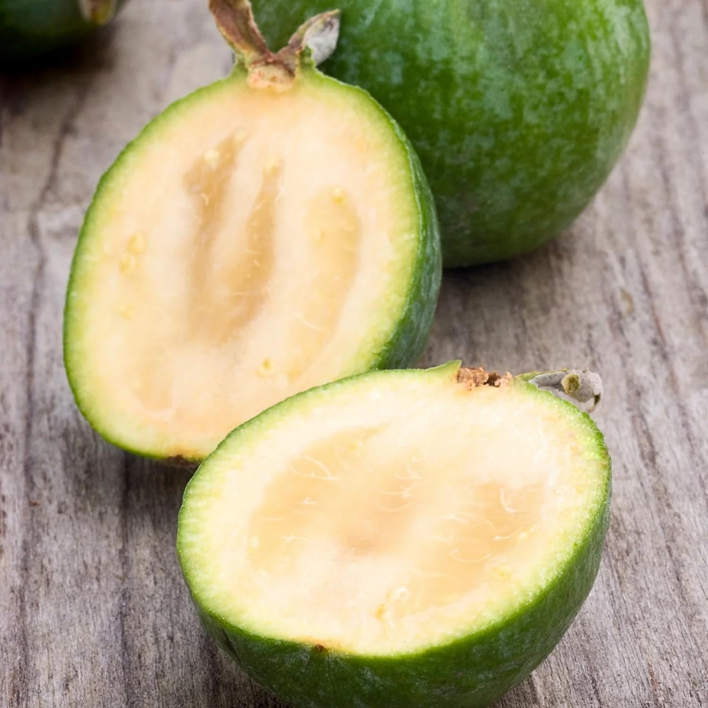 Pack 2 Pineapple Guava Plants Live, 4-8 Inches Tall Starter Plants