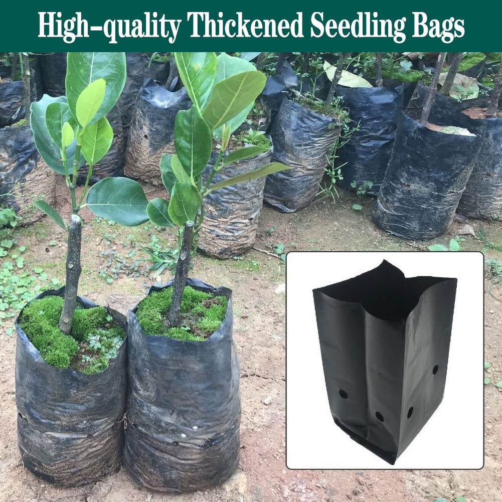 DredQcco 100PACK Plant Grow Bags,Thicken PE Seedling Bag Fruit Tree Seedling Cup Bonsai Planting Bag with Breathable Holes for Garden Black Planting Bags Nursery Bags (4.7'' Dia x 8'' H)