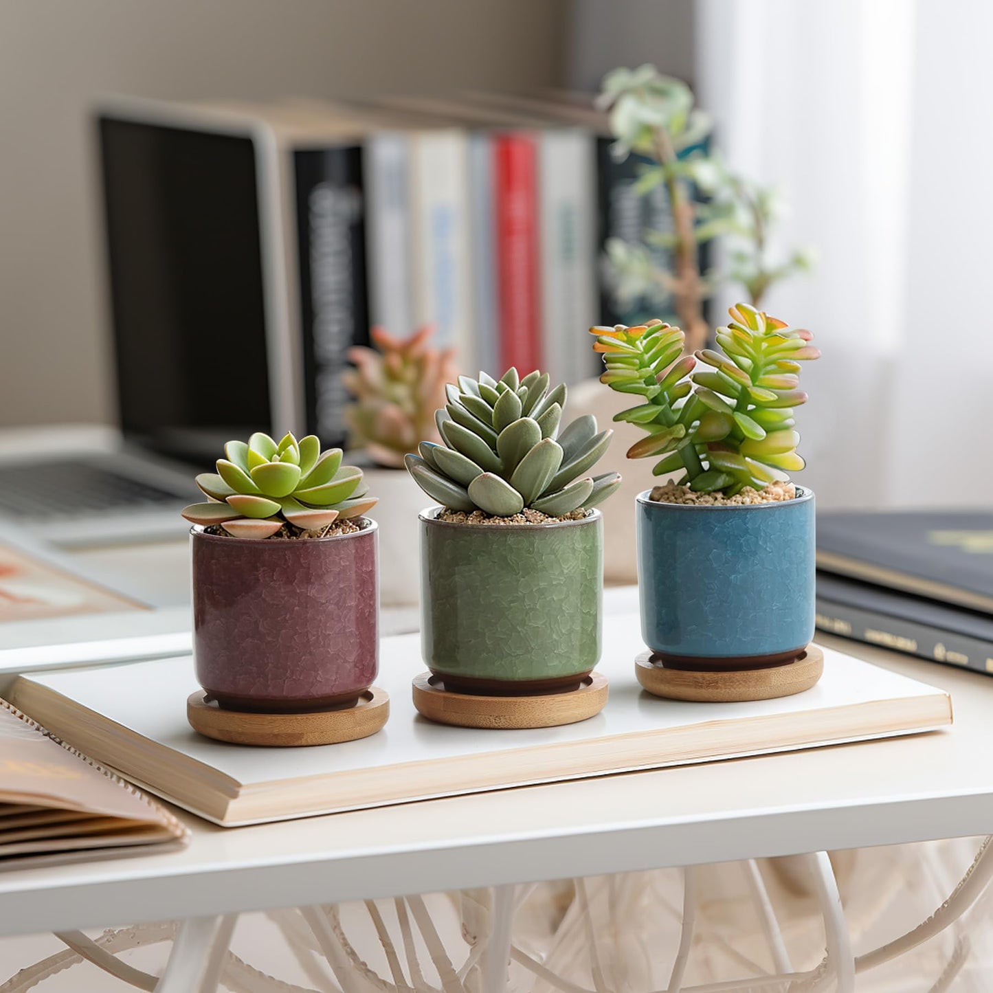 T4U 2.5 Inch Small Ceramic Succulent Planter Pot with Bamboo Saucer Set of 6, Ice Crack Glaze Porcelain Handicraft Plant Container Gift for Mom Sister Aunt Best for Home Office Desk Decoration