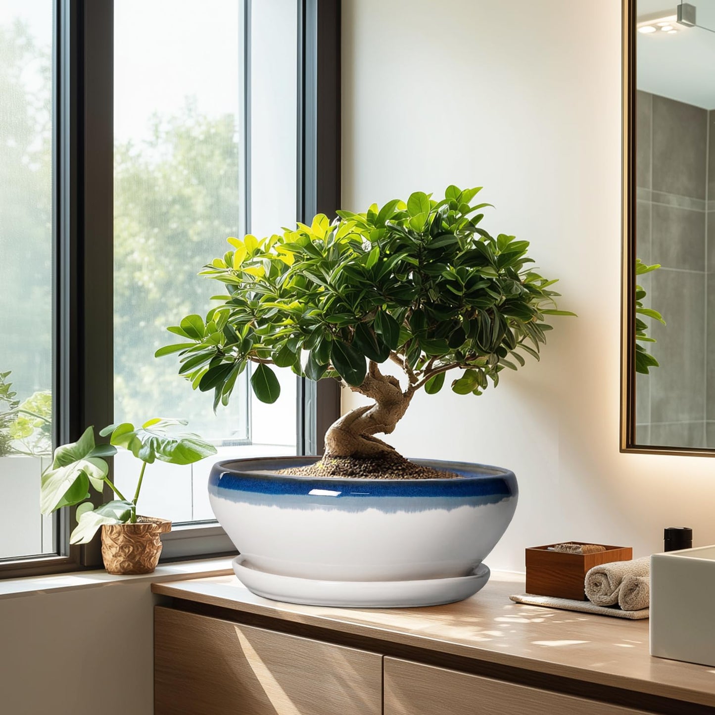 SQOWL Bonsai Tree Pots - 12 Inch Ceramic Succulent Planters, Large Bonsai Pot with Drainage Hole and Tray, Shallow Planter Indoor, Bowl Round Planter, Home Decor, Plant Lover Gift, Blue Off-White