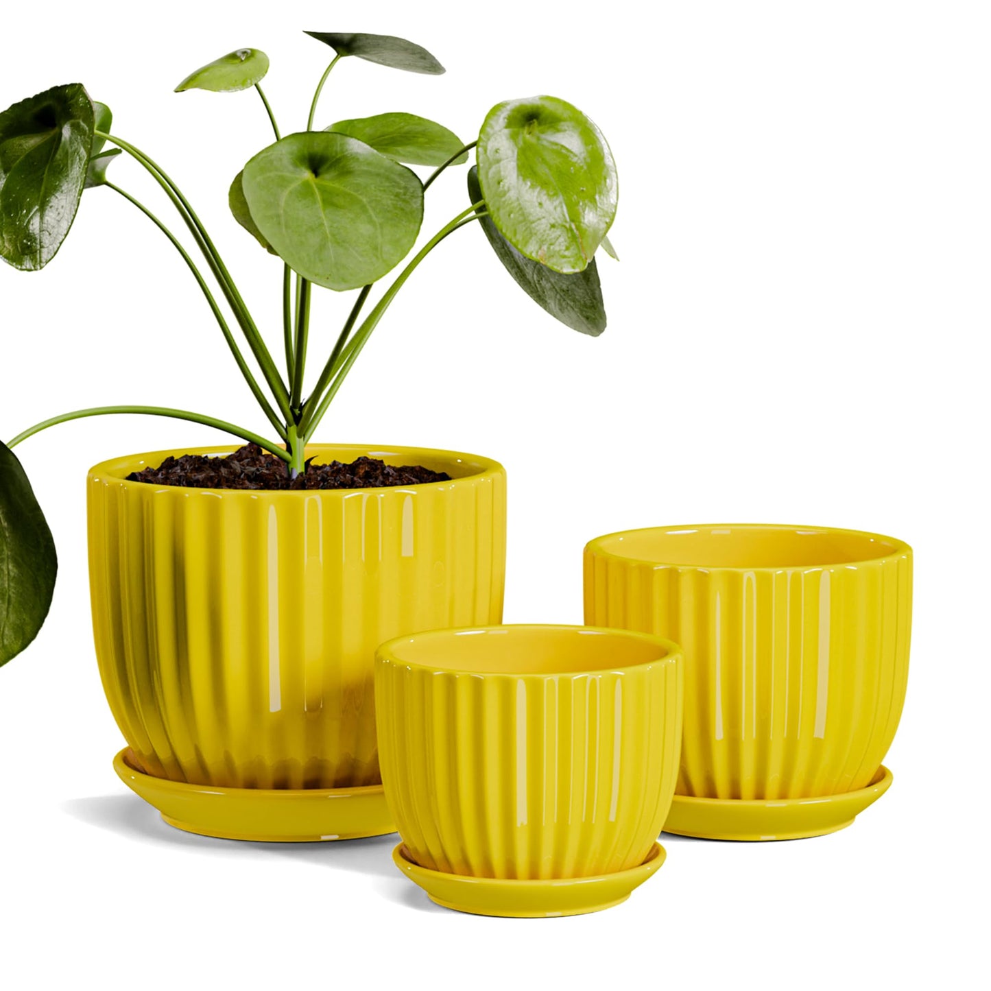Ton Sin Ceramic Flower Pots,Yellow Plant Pots for Indoor Plants,4.1+5.1+6.5 inch Ceramic Plant Pots with Tray,Medium Indoor Planters for Aloe Cactus Decorative Pots with Drainage Hole (Set of 3)