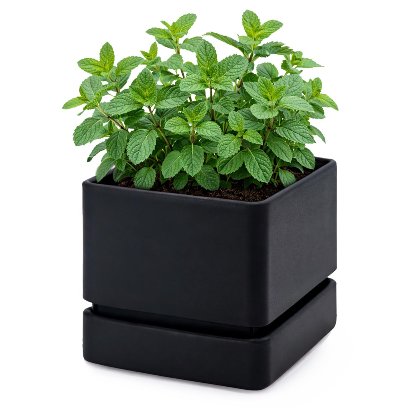 D'vine Dev 6 Inch Herb Planter Pot, Plastic Planter with Drainage Holes and Saucer, Modern Decorative Gardening Pot for Indoor Plants, Flowers, Herbs, Succulents, Black, Set of 1, 76-Y-B1-2