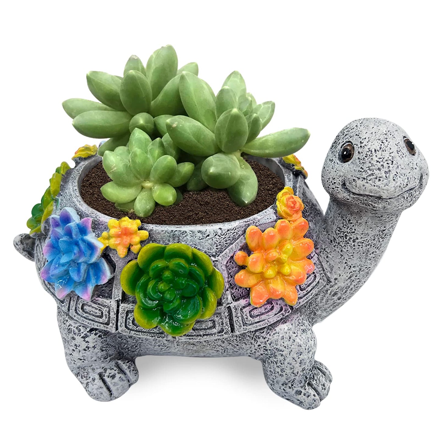 ASDFG Turtle Succulent Planter, Resin Material, Indoor/Outdoor Use, Cute Decor, 5.9" x 3.94" x 3.15"