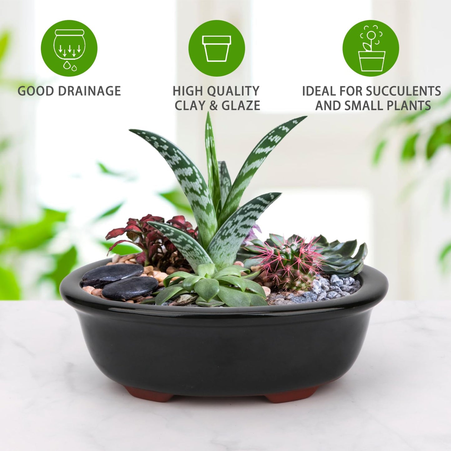 Set of 2 Zisha Ceramic Bonsai Pot, Glazed Shallow Succulent Planter Black