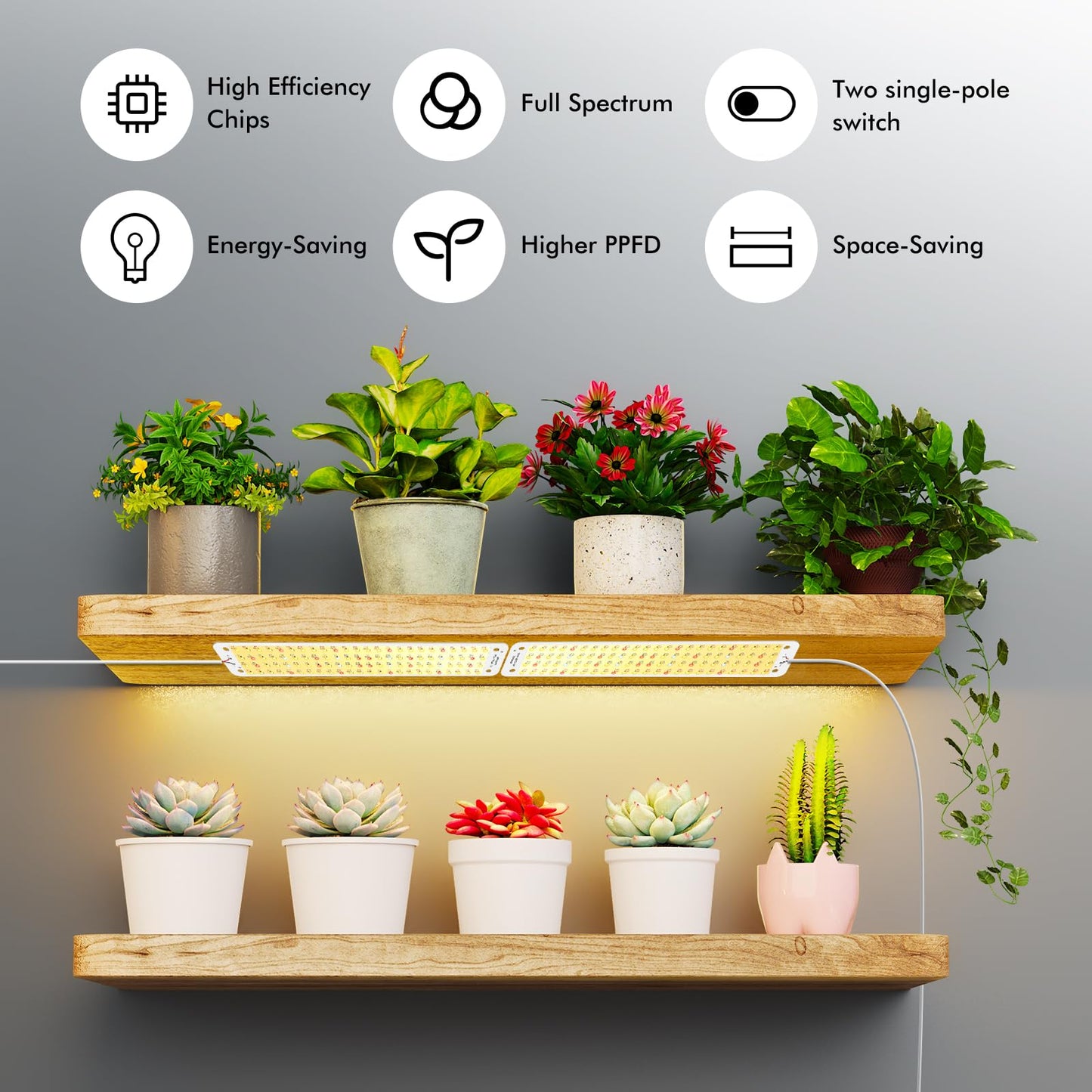 Grow Light, Full Spectrum Grow Lights for Under Cabinet Plant, Grow Lamp with 3/9/12H Auto On/Off Timer for Hydroponics, Seedlings, Succulents, Veg, Flowers, Succulents & More, 2-Pack ﻿