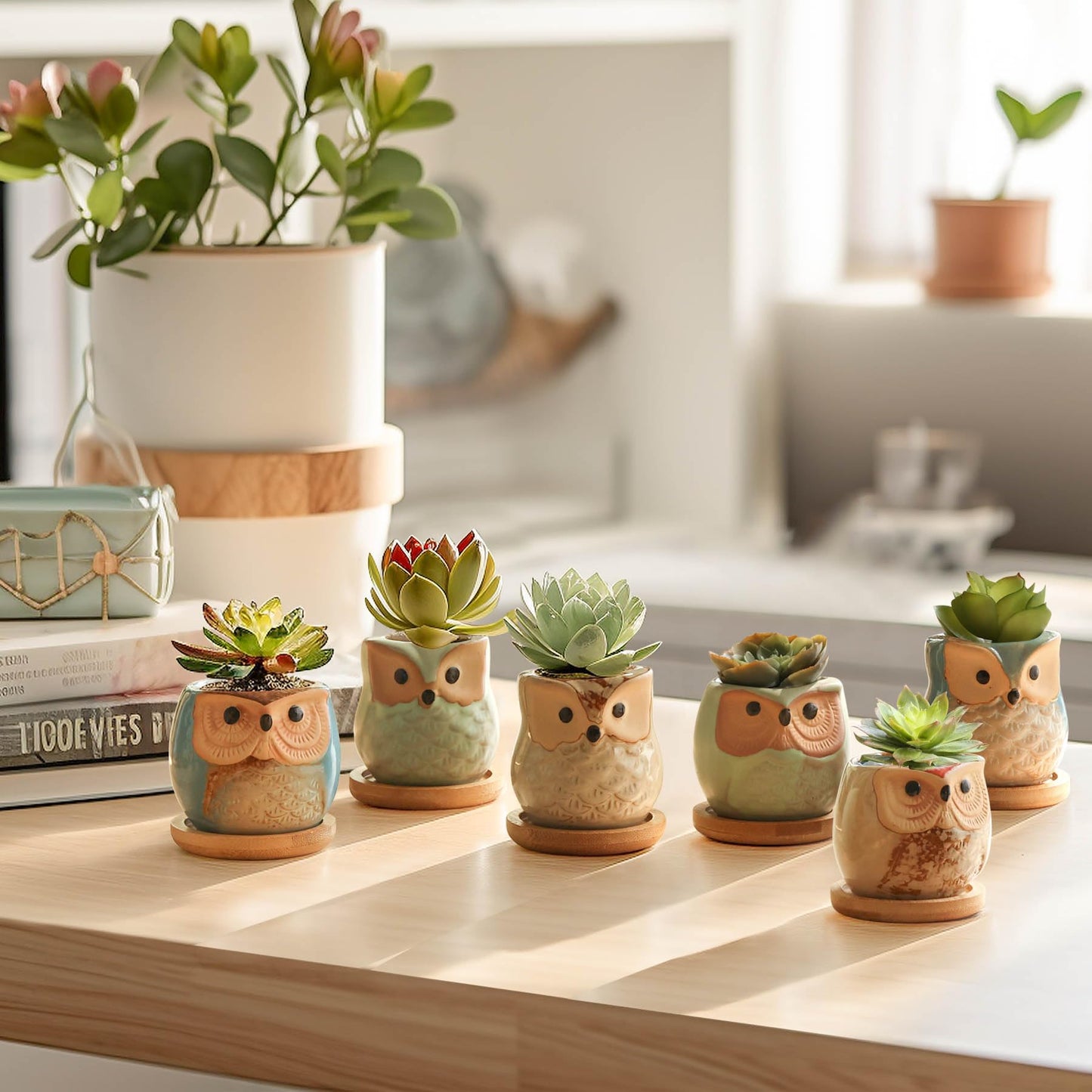 T4U 2.5 Inch Owl Ceramic Succulent Planter Pots with Bamboo Tray Set of 6, Flowing Glaze Porcelain Handicraft Plant Holder Container Gift for Mom Sister Aunt Best for Home Office Garden Decoration