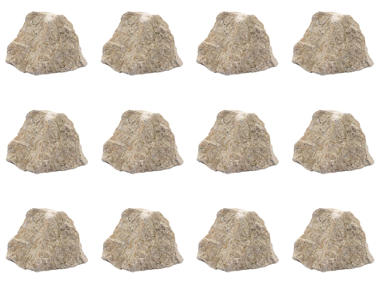 EISCO - 12PK Raw Travertine, Sedimentary Rock Specimens - Approx. 1" - Geologist Selected & Hand Processed - Great for Science Classrooms - Class Pack