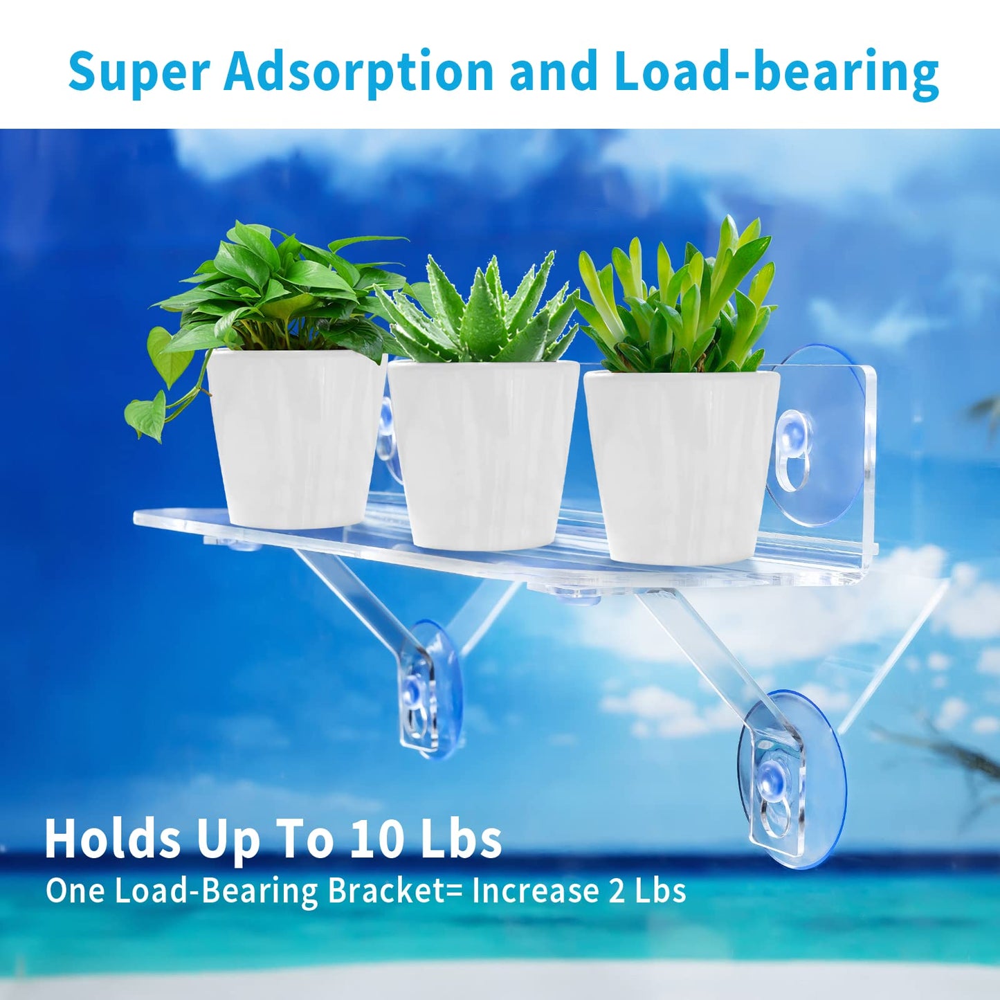 15 Inch Suction Cup Shelf for Plants Window, 6IN Extra Wide with Load-Bearing Brackets Window Shelf for Plants, Acrylic Sill Extender for Growing Herbs, Micro Vegetables, Succulents, Clear-1