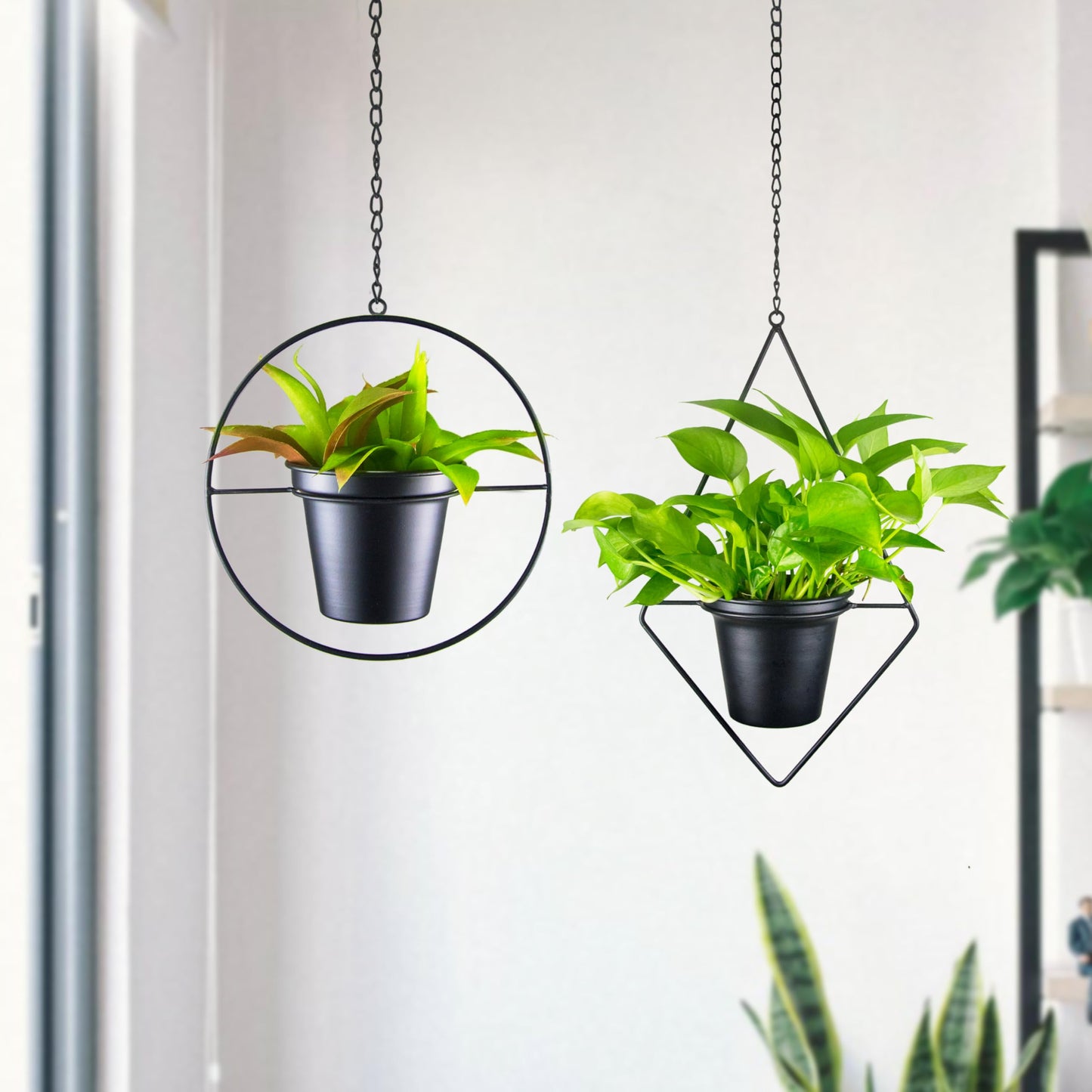 Modern Metal Hanging Planters Set of 2 - Round and Diamond Geometric Plant Hangers with 5 Inch Pots - Black Wall and Ceiling Mount Flower Holders for Indoor Houseplants, Boho Home Décor