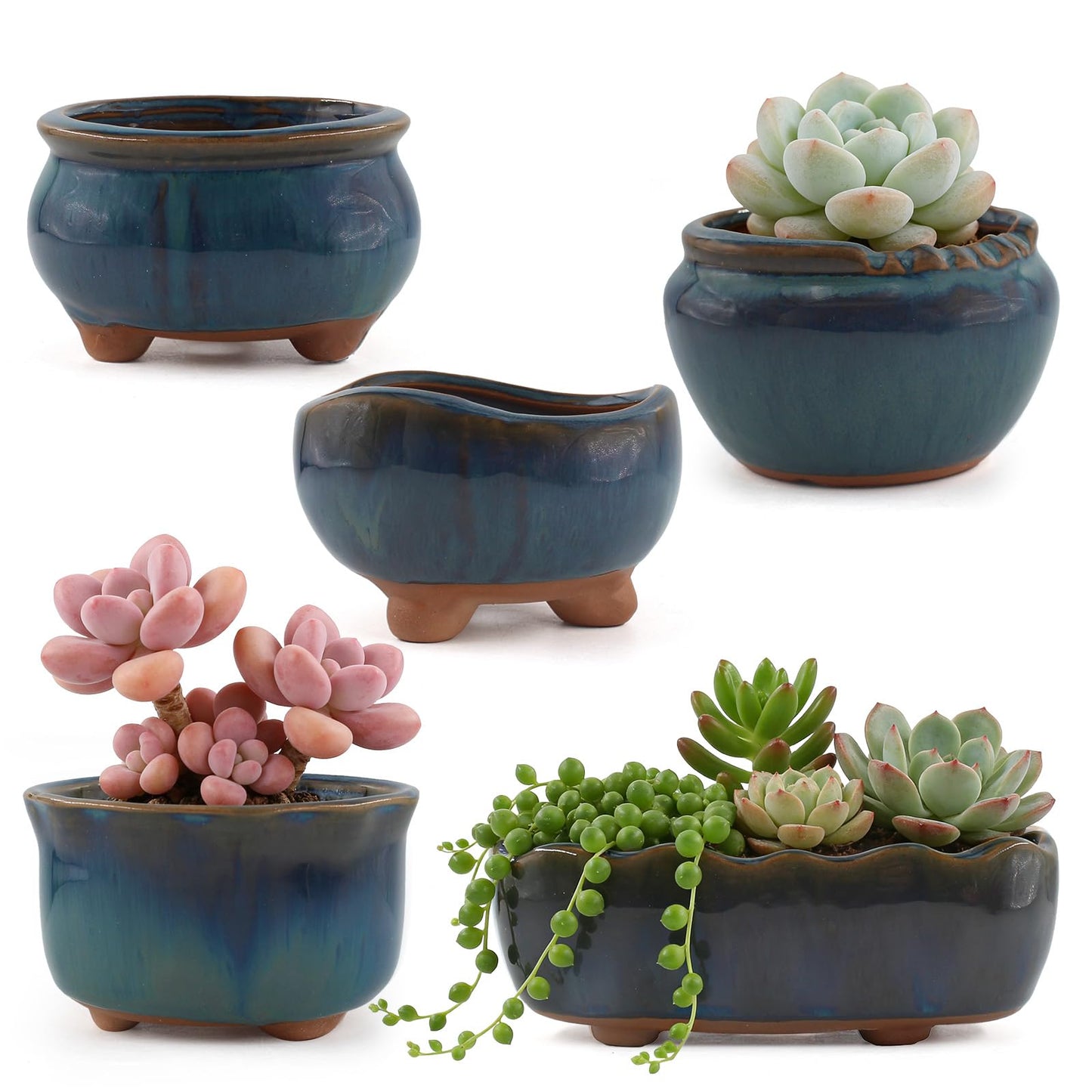 ginojex Ceramic Succulent Garden Pots Small Plant Planter Container with Drainage Set of 5 for Home Office Decor