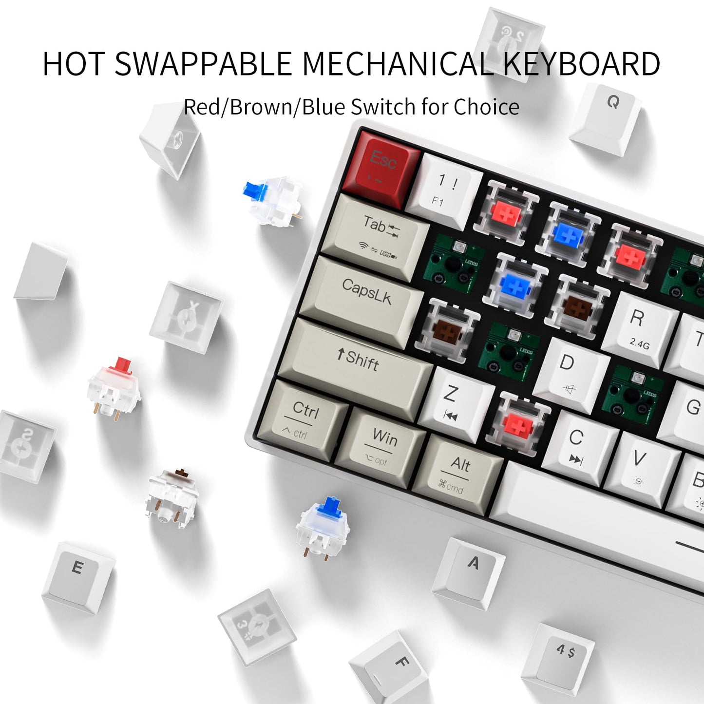 NEWMEN GM610 Wireless Mechanical Keyboard,60% USB C Wired/Bluetooth/2.4Ghz RGB Backlit Compact Hot Swappable Keyboard,White Anti-Ghosting PC Mac Windows Android Gaming Keyboards(Red Switches)