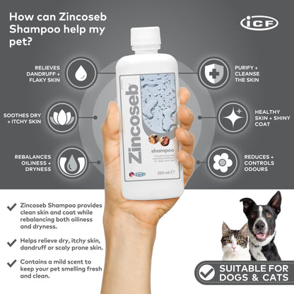 ICF Zincoseb Dog Shampoo for Itchy Skin Relief Anti Itch + Antifungal + Antibacterial for Dogs & Cats Made for Pets with Sensitive Skin 250 ml