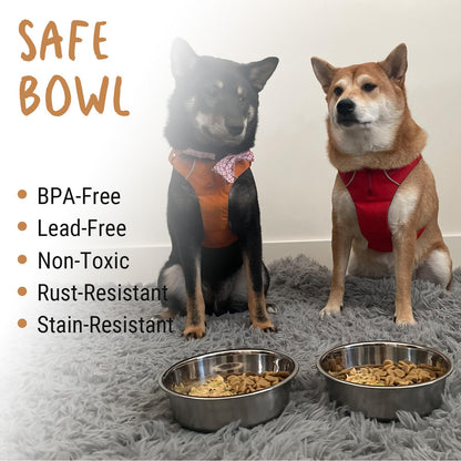 PEGGY11 Stainless Steel Metal Dog Bowls, 900 ml, 2 Pack