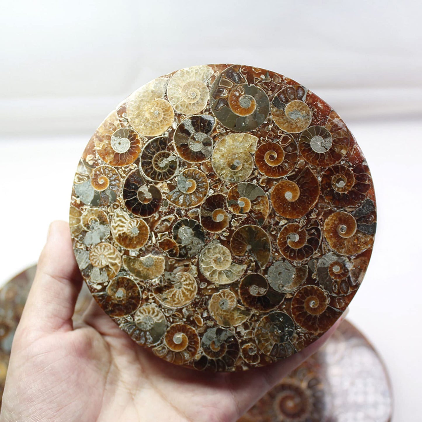 ZHDECOR Natural 11cm Natural Ammonite Shell Plate with Shelf, Mineral from Madagascar Circle Disk, Reiki Crystal Healing Stones Decorations