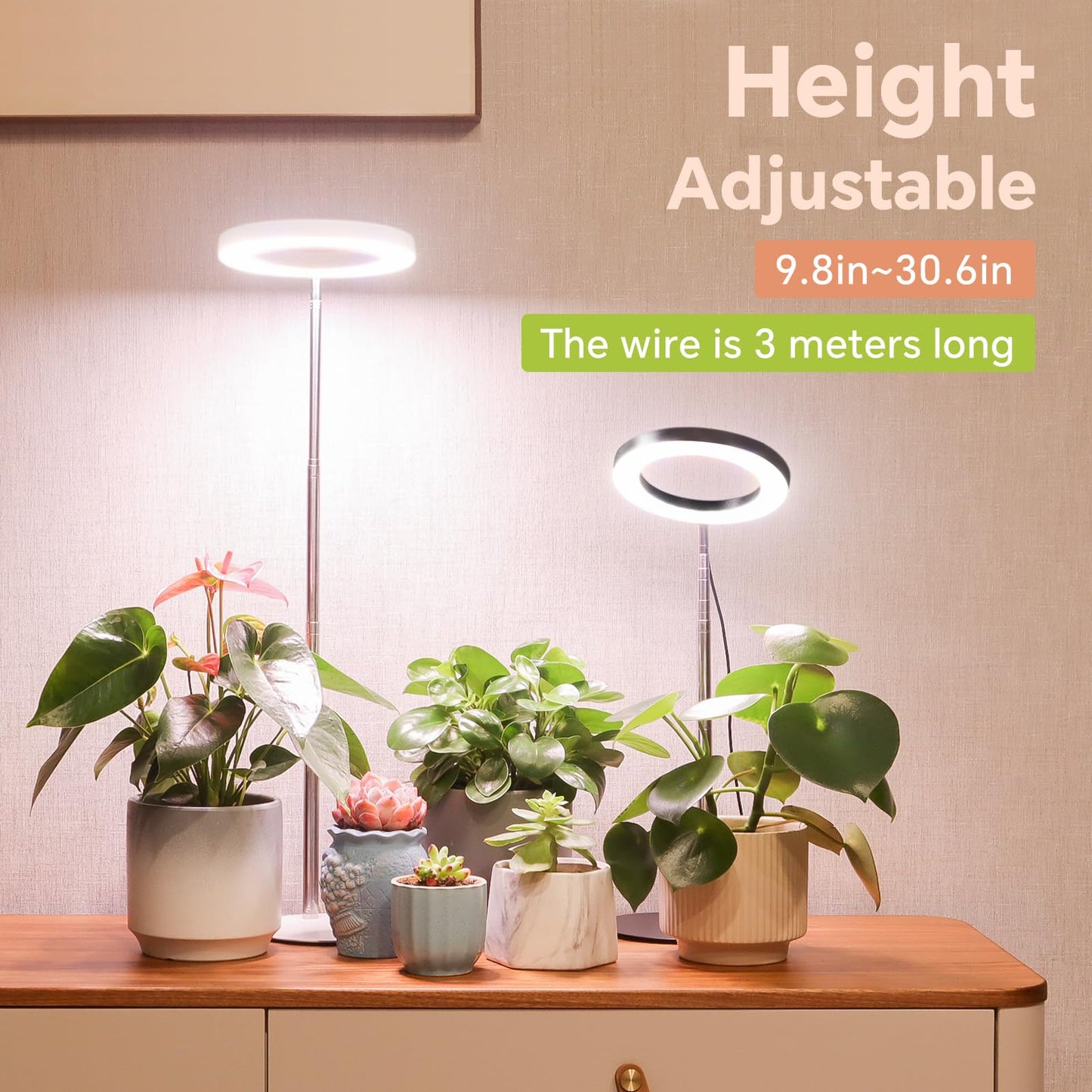 GTRUIIDY Desktop Grow Light, Height Adjustable Grow Lights for Indoor Plants Full Spectrum, 3 Lighting Mode, Halo Grow Light with Timer, Plant Lights for Indoor Growing (Black)