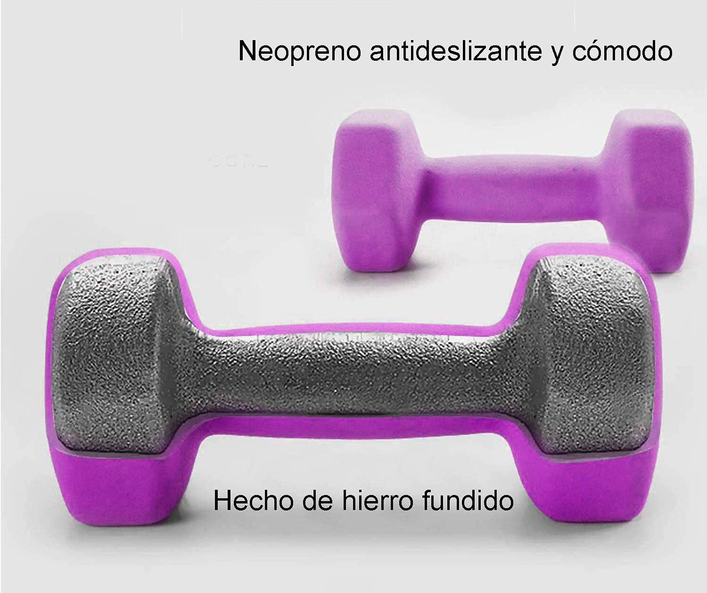 FUXION 10 lb Neoprene Dumbbell Hand Weights, Sets of 2 with Multiple Weight Options, Hexagon Non-Slip Weights for Home Gym Yoga Pilates Workout - purple
