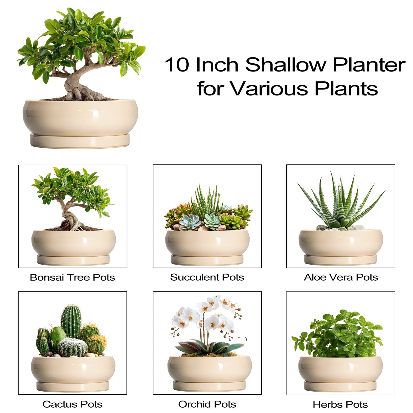 EPFamily Bonsai Pots - 10 Inch Ceramic Succulent Planters Indoor Outdoor, Bonsai Planters with Drainage Hole and Saucer, Round Shallow Planter, Bowl Planter, House Decor, Gifts for Plant Lover, Beige